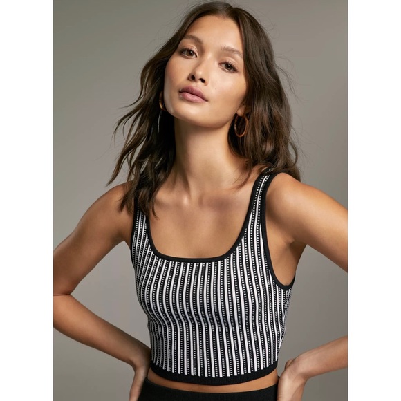 Aritzia Babaton Striped Set- Sculpt Knit Tank & Bodycon Tube Midi Skirt - Picture 2 of 11